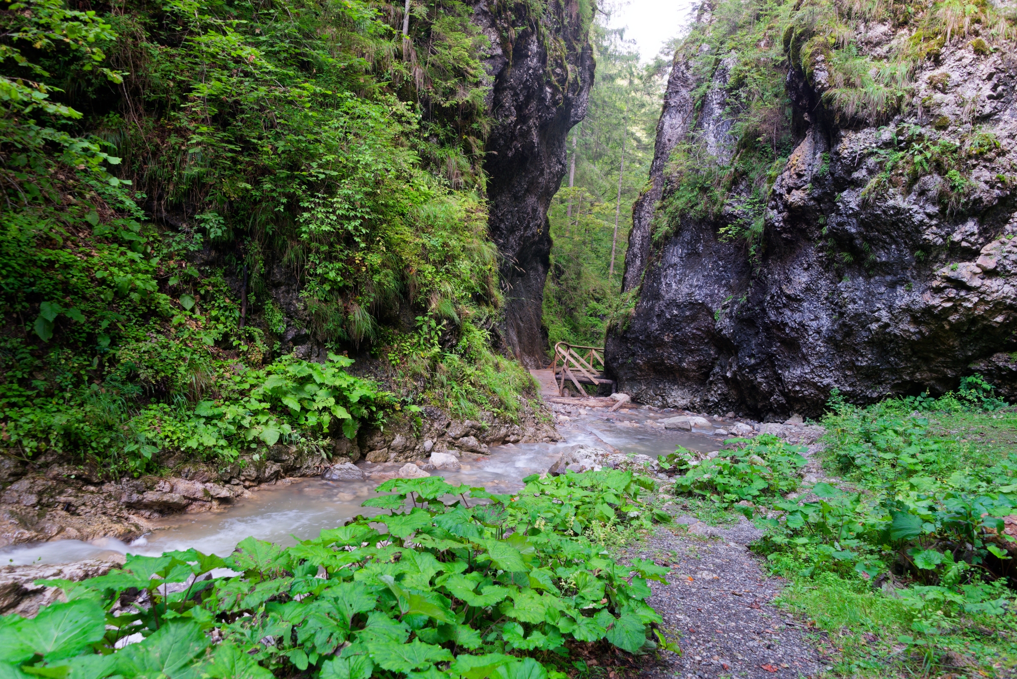 DSC_0568-2K