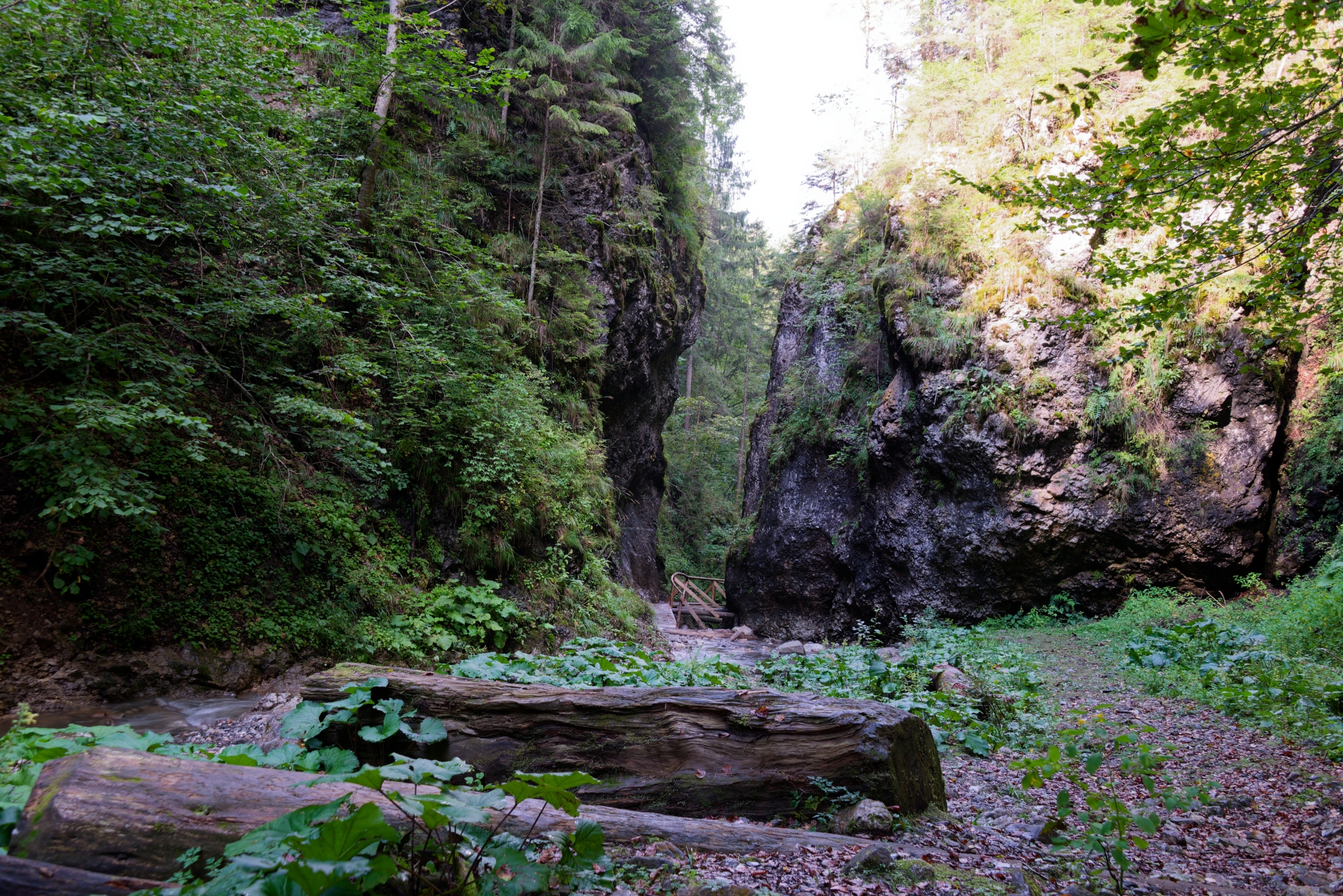 DSC_0570-2K