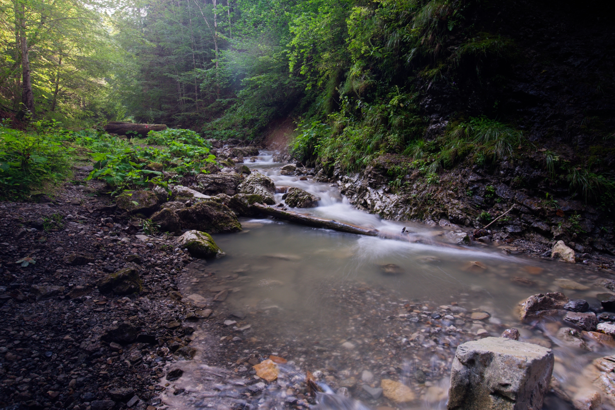 DSC_0594-2K